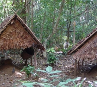 រូបលេខ៥