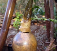រូបលេខ៩