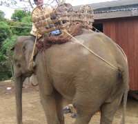 រូបលេខ៩