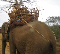 រូបលេខ១០