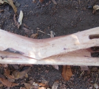 រូបលេខ៧
