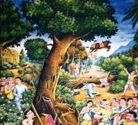 រូបលេខ១២