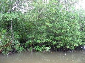 រូបលេខ៦