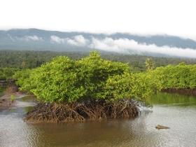 រូបលេខ៨