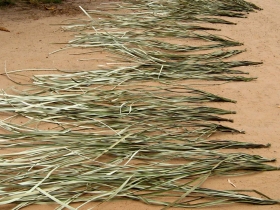 រូបលេខ៧