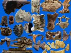 រូបលេខ២