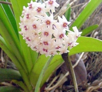 រូបលេខ៣
