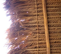 រូបលេខ៥