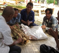 រូបលេខ១១