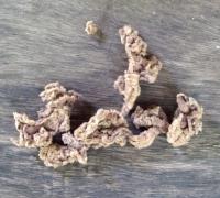 រូបលេខ១២
