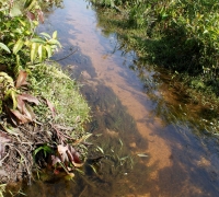រូបលេខ៥