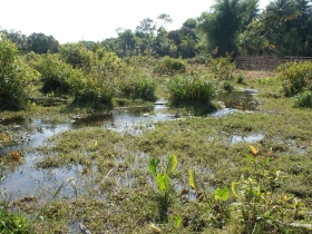 រូបលេខ១