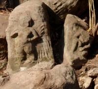 រូបលេខ១១