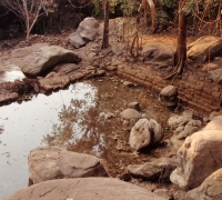 រូបលេខ៧