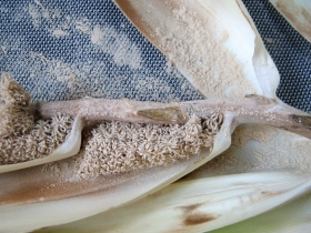 រូបលេខ៦