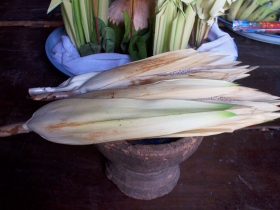 រូបលេខ៨
