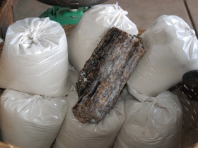 រូបលេខ២