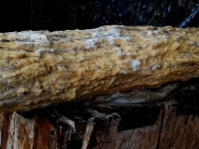រូបលេខ១