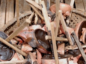 រូបលេខ១៧