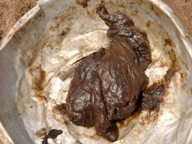 រូបលេខ១២