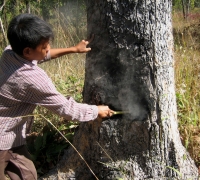 រូបលេខ៦