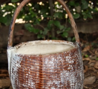 រូបលេខ១១