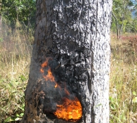 រូបលេខ៣