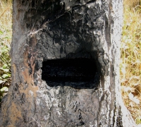 រូបលេខ៧
