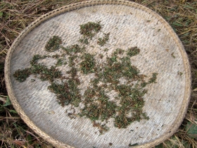 រូបលេខ១