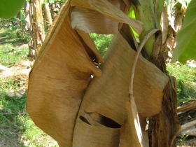 រូបលេខ៣