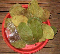 រូបលេខ១៣