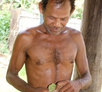 រូបលេខ១១