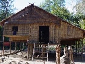 រូបលេខ១១