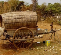 រូបលេខ១