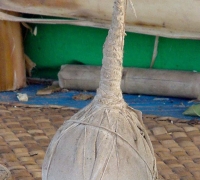 រូបលេខ៥