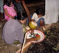 រូបលេខ២