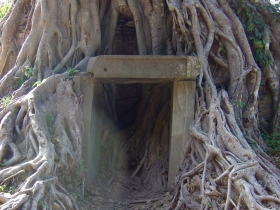 រូបលេខ១០