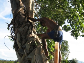រូបលេខ៤