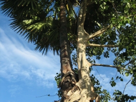 រូបលេខ៣