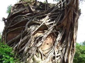 រូបលេខ៩