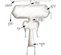 រូបលេខ៦