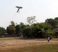 រូបលេខ៣