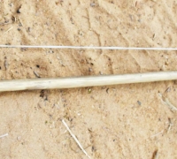 រូបលេខ៨