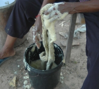រូបលេខ៨