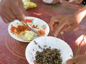 រូបលេខ៤