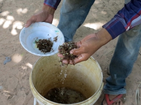 រូបលេខ៣