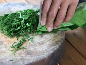 រូបលេខ១៧