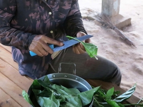 រូបលេខ១៦