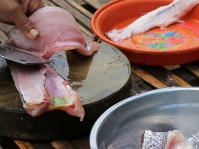រូបលេខ២២