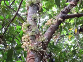 រូបលេខ៥